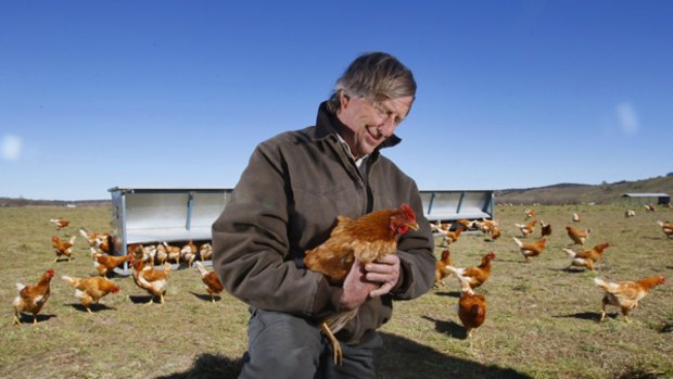 Sceptic: Tony Coote with his free-range chickens.