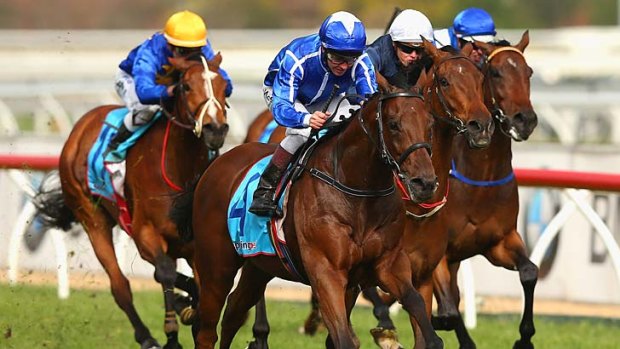 Non-starter &#8230; Kerrin McEvoy comes from last to win the Herbert Power on Shahwardi, but the import will bypass the Caulfield Cup and rely on entry to the Melbourne Cup.