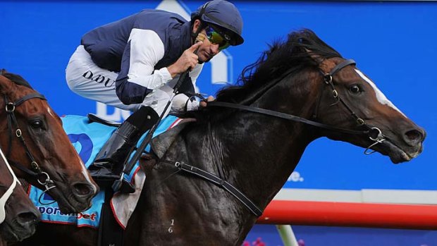 Jet Away has been forced, through minor setbacks, to miss a large portion of the lead-up races to the Caulfield Cup.