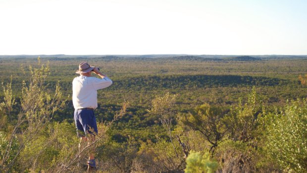 Ngarket Conservation Park near Tintinara, SA