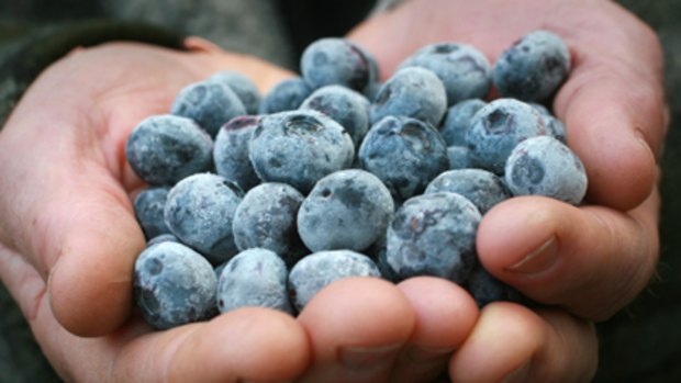 Berry healthy ... give your body a boost with nutritious blueberries.