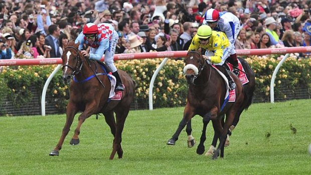 Dunaden (right) with Mikel Delzangles in the saddle after winning the 2011 Melbourne Cup.