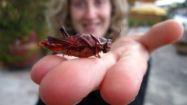 You can't say no ... eating strange foods while travelling is risky, but it is worth it.