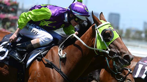 Sweet: Kiss Me Ketut, ridden by Jye McNeil, finishes strongly to win the Nowicki Carbone Handicap at Flemington.