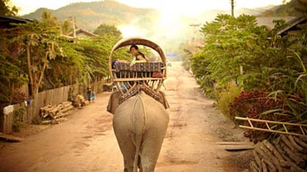 Slow and silent ... the elephant caravan arrives in the village of Ben Thene.