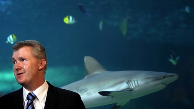 Dilemma ... Environment Minister Tony Burke is accused of not listening to marine and fishing industries and overseas lobby groups.
