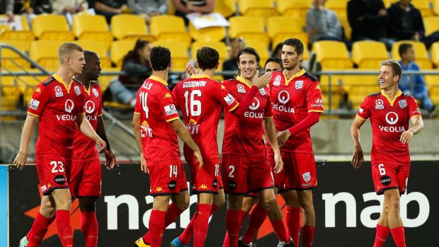 Red hot: Players celebrate the goal of Bruce Djite during the round 22 A-League match between the Wellington Phoenix and Adelaide United at Westpac Stadium.