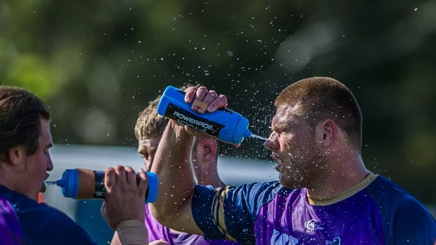 The Brumbies were pushed to the limit in the heat on Monday.