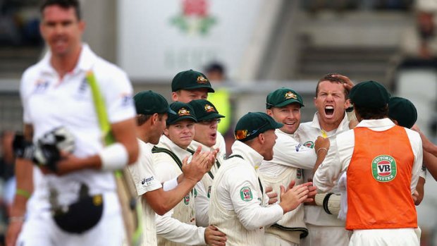 Sent packing:  Peter Siddle of Australia sends Englishman Kevin Pietersen a message.