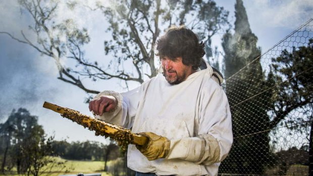Clean: Australia is the only honey producer free of the varroa mite.