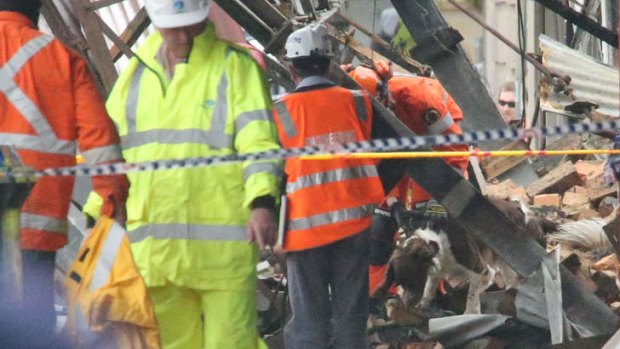 A sniffer dog searches the site of the building explosion in Darling Street.