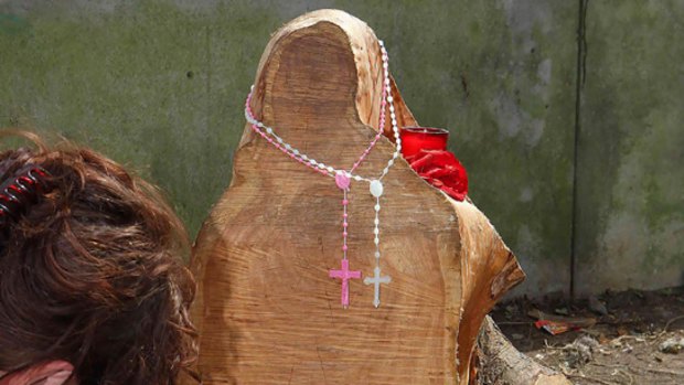 Virgin Mary ... thousands have flocked to this tree stump in Ireland.