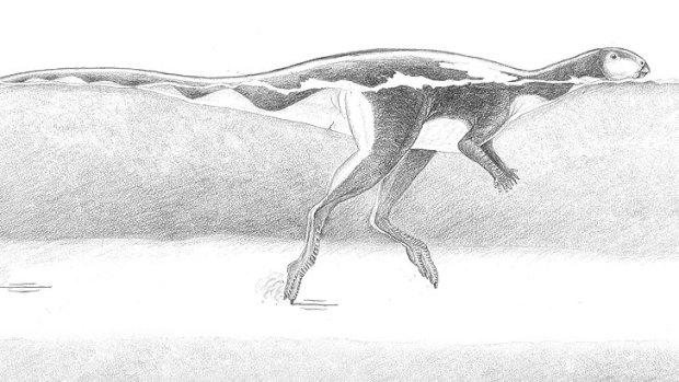 A swimming Lark Quarry dinosaur.