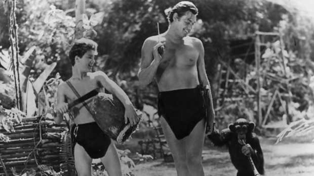 The late Johnny Weissmuller as Tarzan with Johnny Sheffield as Boy and the chimpanzee Cheeta.