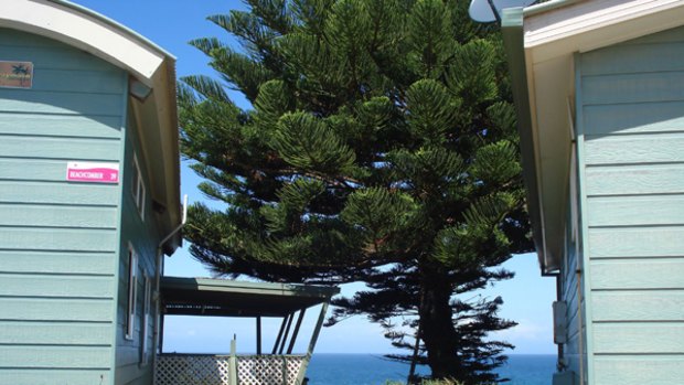 True blue ... cabins can sleep five at Toowoon Bay Holiday Park.