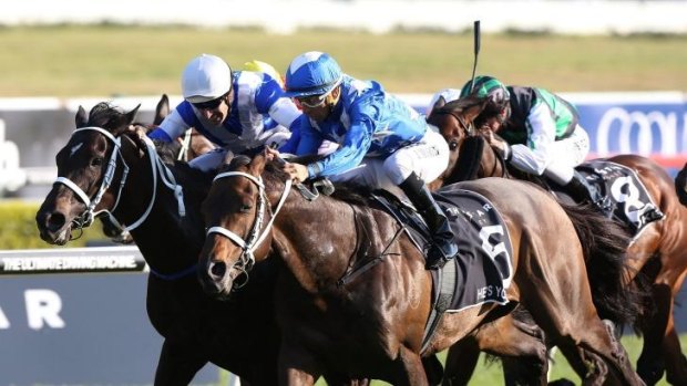 Fighting on two fronts: He's Your Man's Epsom triumph was one of four group 1 events across two states on the first Saturday in October.