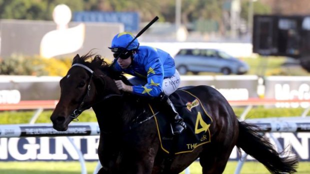 Red hot: Melbourne Cup fancy The Offer turned in an impressive trial run at Randwick on Friday.