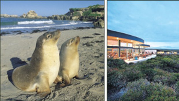 Nature’s own ... (from left) fur seals on the beach at Seal Bay; the Southern Ocean Lodge has views from every room.