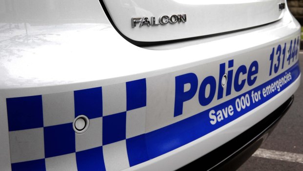 Police are hunting for two offenders after reports of home invasions.