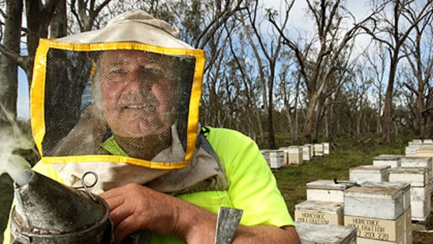 A 15-kilometre long bed of locust eggs in the state's north-west has caused Ian Oakley (above) and other apiarists to move their bees to avoid insecticide poisoning.