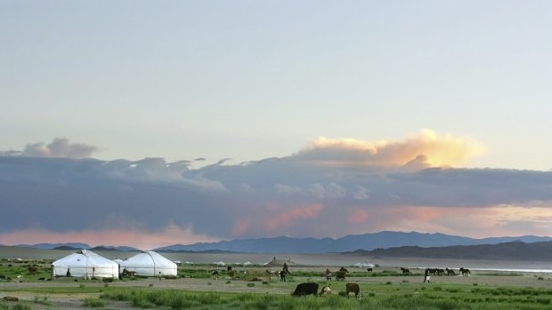 The Mongolian landscape at sunset.