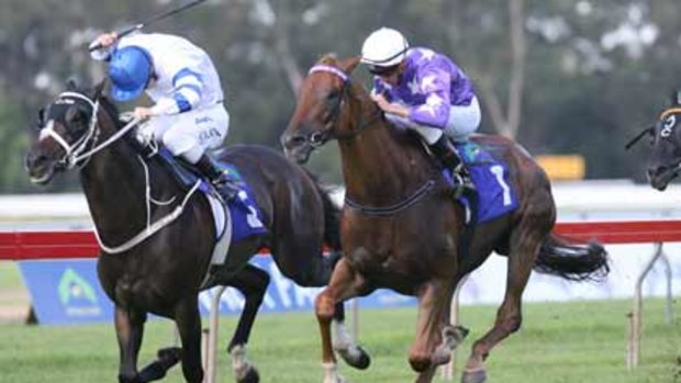 So close ... Theseo, right, edges out Rangirangdoo in the group1 Chipping Norton Stakes