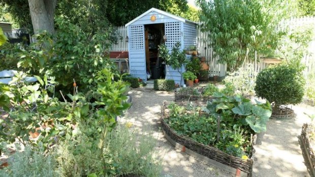 Paths and shed in Kim Roberts' Malvern East garden.  