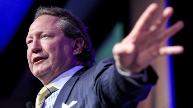 Fortescue Metals CEO Andrew Forrest.