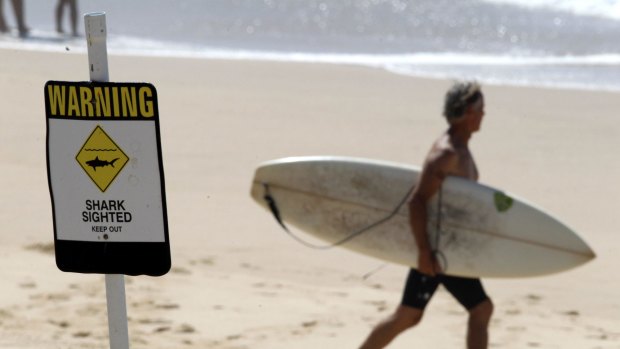 NCH  NEWS,
   Surfest Indigenous pro put on hold due to shark sighting at Merewether beach. Image shows warning sign  but some surfers went out anyway 
12th February 2015   pic    Darren Pateman