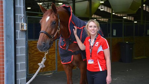 Jo Shanahan, pictured with horse, Luxor 118, who is wearing the Activo Med Combi Pro rug distributed by Animal Therapeutics Online.