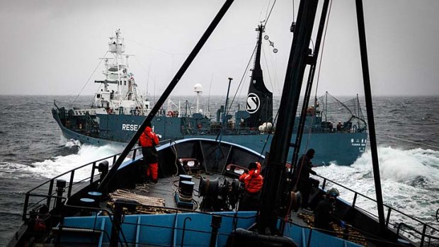 An image of the deck of a Japanese whaling vessel, collected by a Sea Shepherd helicopter in waters far south-east of Australia last month.