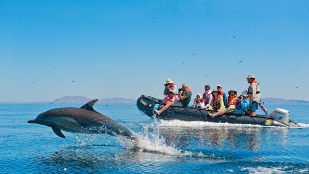 Lindblad Expeditions' Base Camp Baja voyages will explore the region's Espiritu Santo and Isla Partida on the 62-passenger National Geographic Sea Bird.
