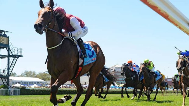 Raring to go: Peter Snowden hopes Earthquake will ease the pain from the loss of Complacent for the autumn.