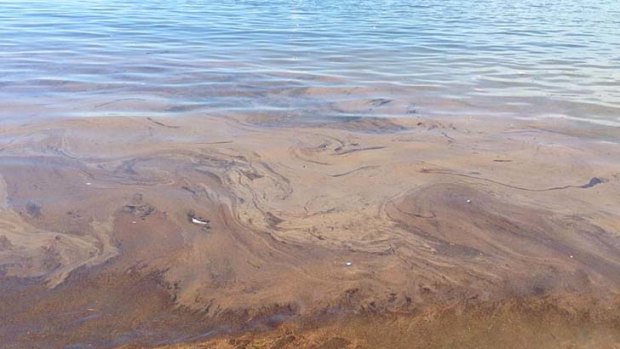 Caltex oil spill at Botany Bay caused by the recent heavy rains.