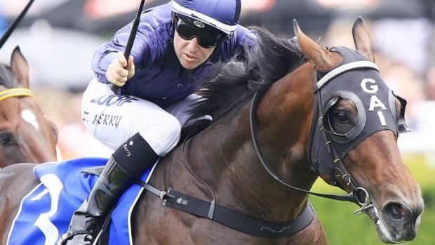 Undecided: Tommy Berry will be given until the last minute to decide whether to ride Valentia in eh Golden Slipper.
