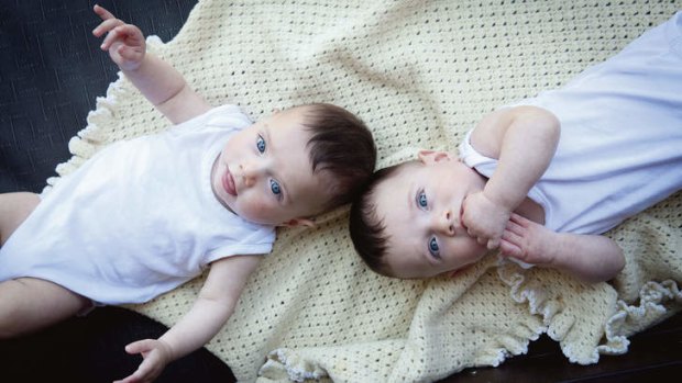 Twin peaks … Erin O'Dwyer's twin sons, Ambrose and Clancy.