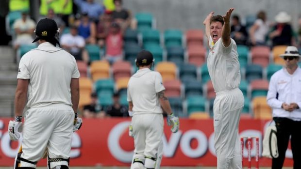 James Pattinson claims the wicket of New Zealand's Jesse Ryder LBW at Bellerive.