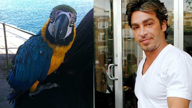 Police got the call through the squawk box ... Meg the macaw and owner John Ibrahim.