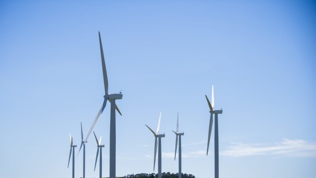 Bill Shorten has accused Tony Abbott of being hostile to wind energy.