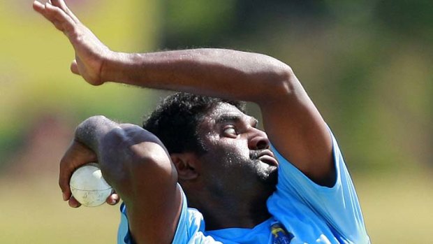 Muttiah Muralitharan ... set to open the bowling for the Melbourne Renegades against Hobart Hurricanes.