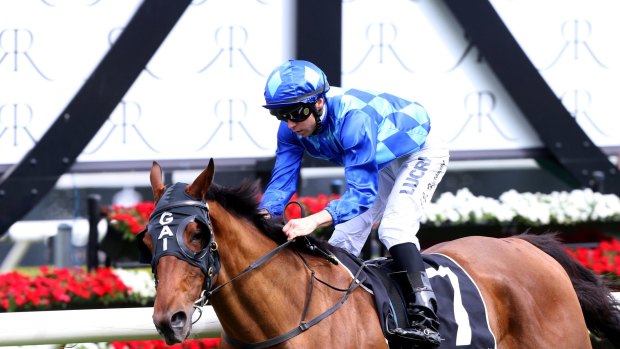 Festive season: Broadside will look to add Saturday's Christmas Cup to his win in the ATC Cup.