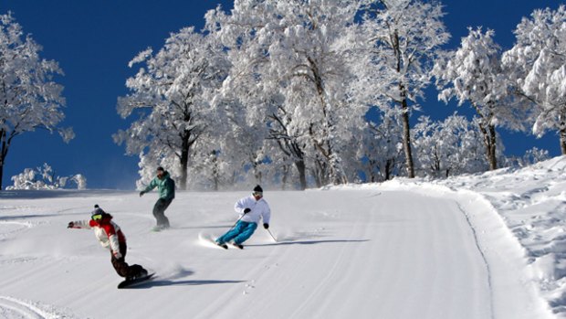 Powder trip ... Nozawa onsen ski resort.