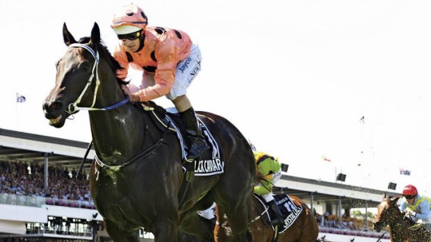 With a wet sail … Black Caviar, ridden by Luke Nolen, wins the group 1 Lexus Newmarket Handicap at Flemington on March 12, 2011.