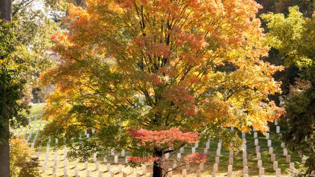 Arlington Cemetery.