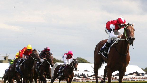 Back in the saddle: Mitchell Bell and Artlee team up again at Randwick on Saturday.