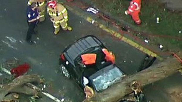 A fallen tree lays across the woman's crushed car.