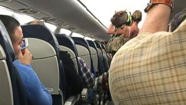 The woman and her pet pig leave the US Airways flight.