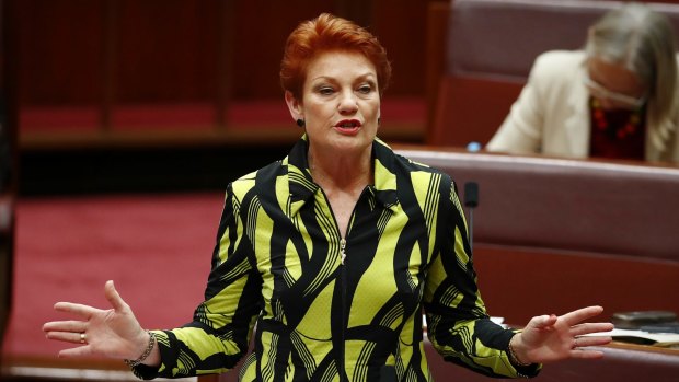 Senator Pauline Hanson in the Senate on Thursday.