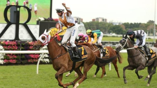 International flavour: Nash Rawiller crosses the line in front on Japanese mare Hana's Goal in the All Aged Stakes at Randwick on Saturday.