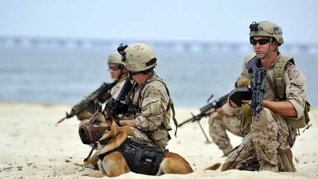 Canine warrior ... a Navy SEAL platoon performs a land warfare demonstration